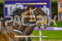 2026_PACEPIX_GP28082026_Race8_IdealTomado_WIN_WEB-8