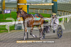 2026_PACEPIX_GP28082026_Race8_IdealTomado_WIN_WEB-9