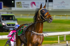 2025_PACEPIX_GP02122025_Race8_Idontwanabeapirate_WIN_WEB-15