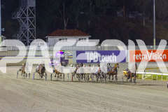 2025_Pacepix_GP31132025_Race8_JoltedCharm_WIN_WEB-1