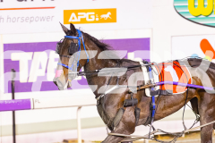 2025_Pacepix_GP31132025_Race8_JoltedCharm_WIN_WEB-15