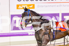 2025_Pacepix_GP31132025_Race8_JoltedCharm_WIN_WEB-17