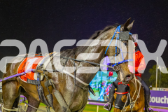 2025_Pacepix_GP31132025_Race8_JoltedCharm_WIN_WEB-21