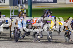 2025_Pacepix_GP31132025_Race8_JoltedCharm_WIN_WEB-4