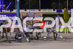 2025_Pacepix_GP31132025_Race8_JoltedCharm_WIN_WEB-8