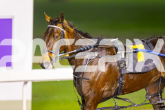 2025_PACEPIX_GP08072025_Race8_Kinky_WIN_WEB-10