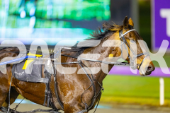 2025_PACEPIX_GP08072025_Race8_Kinky_WIN_WEB-8