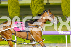 2026_PACEPIX_GP09012026_Race8_Koojan_WIN_WEB-12