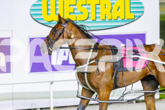 2026_PACEPIX_GP09012026_Race8_Koojan_WIN_WEB-14