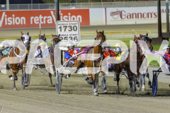 2026_PACEPIX_GP09012026_Race8_Koojan_WIN_WEB-3