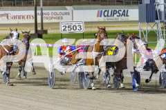 2026_PACEPIX_GP09012026_Race8_Koojan_WIN_WEB-5
