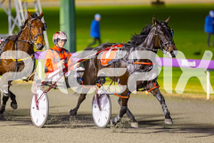 RACE 8 - Lady Violetta