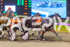 2025_PACEPIX_GP05082025_RACE8_LadyVioletta_WIN_WEB-12
