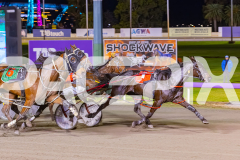 2025_PACEPIX_GP05082025_RACE8_LadyVioletta_WIN_WEB-13