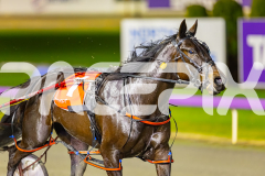 2025_PACEPIX_GP05082025_RACE8_LadyVioletta_WIN_WEB-16