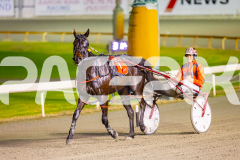 2025_PACEPIX_GP05082025_RACE8_LadyVioletta_WIN_WEB-18