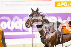 2025_PACEPIX_GP05082025_RACE8_LadyVioletta_WIN_WEB-19