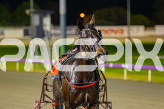 2025_PACEPIX_GP05082025_RACE8_LadyVioletta_WIN_WEB-22