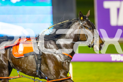 2025_PACEPIX_GP05082025_RACE8_LadyVioletta_WIN_WEB-4