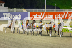 2025_PACEPIX_GP05082025_RACE8_LadyVioletta_WIN_WEB-5