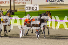 2025_PACEPIX_GP05082025_RACE8_LadyVioletta_WIN_WEB-9