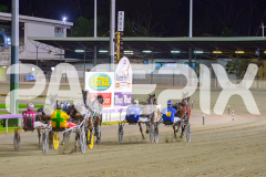 2025_PACEPIX_GP02052025_Race8_LittleDarling_WIN_WEB-15