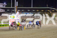 2025_PACEPIX_GP02052025_Race8_LittleDarling_WIN_WEB-16