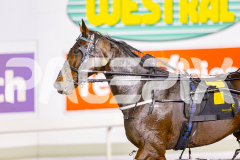 2025_PACEPIX_GP02052025_Race8_LittleDarling_WIN_WEB-20