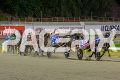2025_PACEPIX_GP02052025_Race8_LittleDarling_WIN_WEB-5
