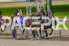 2025_PACEPIX_GP02052025_Race8_LittleDarling_WIN_WEB-8