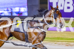 2026_PACEPIX_GP20022026_WEB-163