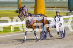 2026_PACEPIX_GP20022026_WEB-164