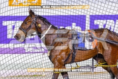 2026_PACEPIX_GP13102026_RACE8_LuckFromAbove_WIN_WEB-12