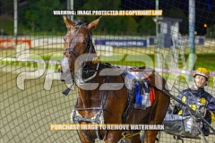 2026_PACEPIX_GP13102026_RACE8_LuckFromAbove_WIN_WEB-13