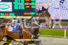 2026_PACEPIX_GP13102026_RACE8_LuckFromAbove_WIN_WEB-8