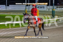 2026_PACEPIX_GP13102026_RACE8_LuckFromAbove_WIN_WEB-9