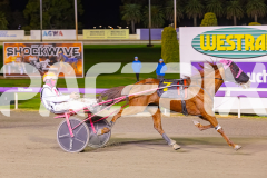 2025_PACEPIX_GP11072025_Race8_Luvaflair_WIN_WEB-14