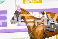 2025_PACEPIX_GP11072025_Race8_Luvaflair_WIN_WEB-19