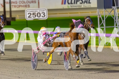 2025_PACEPIX_GP11072025_Race8_Luvaflair_WIN_WEB-9