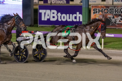 Luvbite_03-04-2026_WIN_Gloucester-Park_8__05