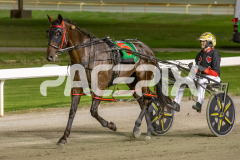 Luvbite_03-04-2026_WIN_Gloucester-Park_8__09