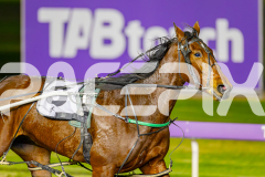 2025_PACEPIX_GP10062025_RACE8_MaasAttack_WIN_WEB-10