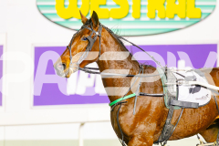 2025_PACEPIX_GP10062025_RACE8_MaasAttack_WIN_WEB-13