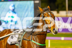 2025_PACEPIX_GP10062025_RACE8_MaasAttack_WIN_WEB-16
