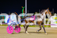 2025_PACEPIX_GP21112025_RACE8_MadMonday_WIN_WEB-11