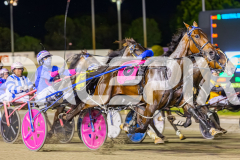 2025_PACEPIX_GP21112025_RACE8_MadMonday_WIN_WEB-3