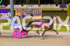 2025_PACEPIX_GP21112025_RACE8_MadMonday_WIN_WEB-7