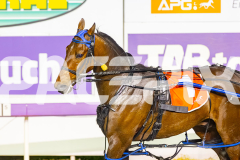 2025_PACEPIX_GP02092025_RACE8_MadMonday_WIN_WEB-14