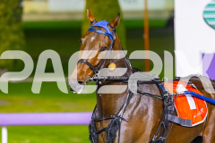 2025_PACEPIX_GP02092025_RACE8_MadMonday_WIN_WEB-15