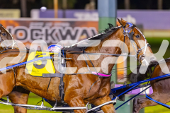 2025_PACEPIX_GP02092025_RACE8_MadMonday_WIN_WEB-5